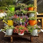 Our Pittsburgh Garden Center: Your Local Source for Growing Success