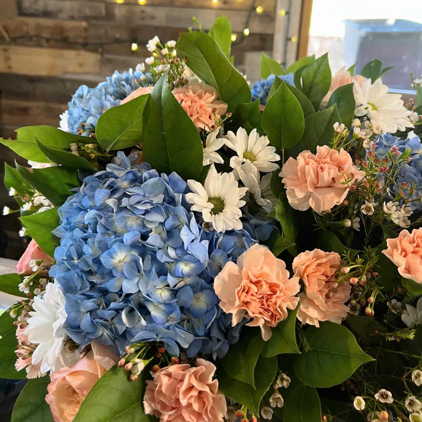 Annual Flowers in Wexford 1